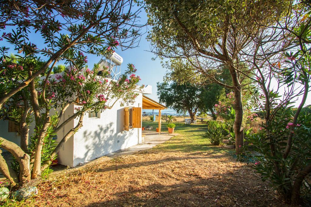 Mera Beachfront House - Фаласарна Екстер'єр фото